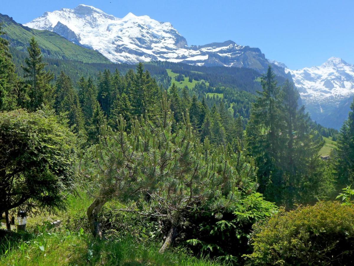 Chalet Zwaergli By Interhome Wengen Exterior foto