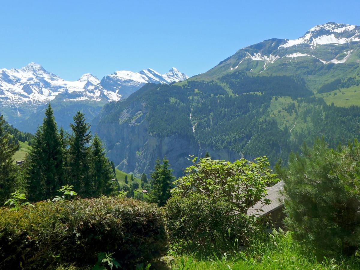 Chalet Zwaergli By Interhome Wengen Exterior foto