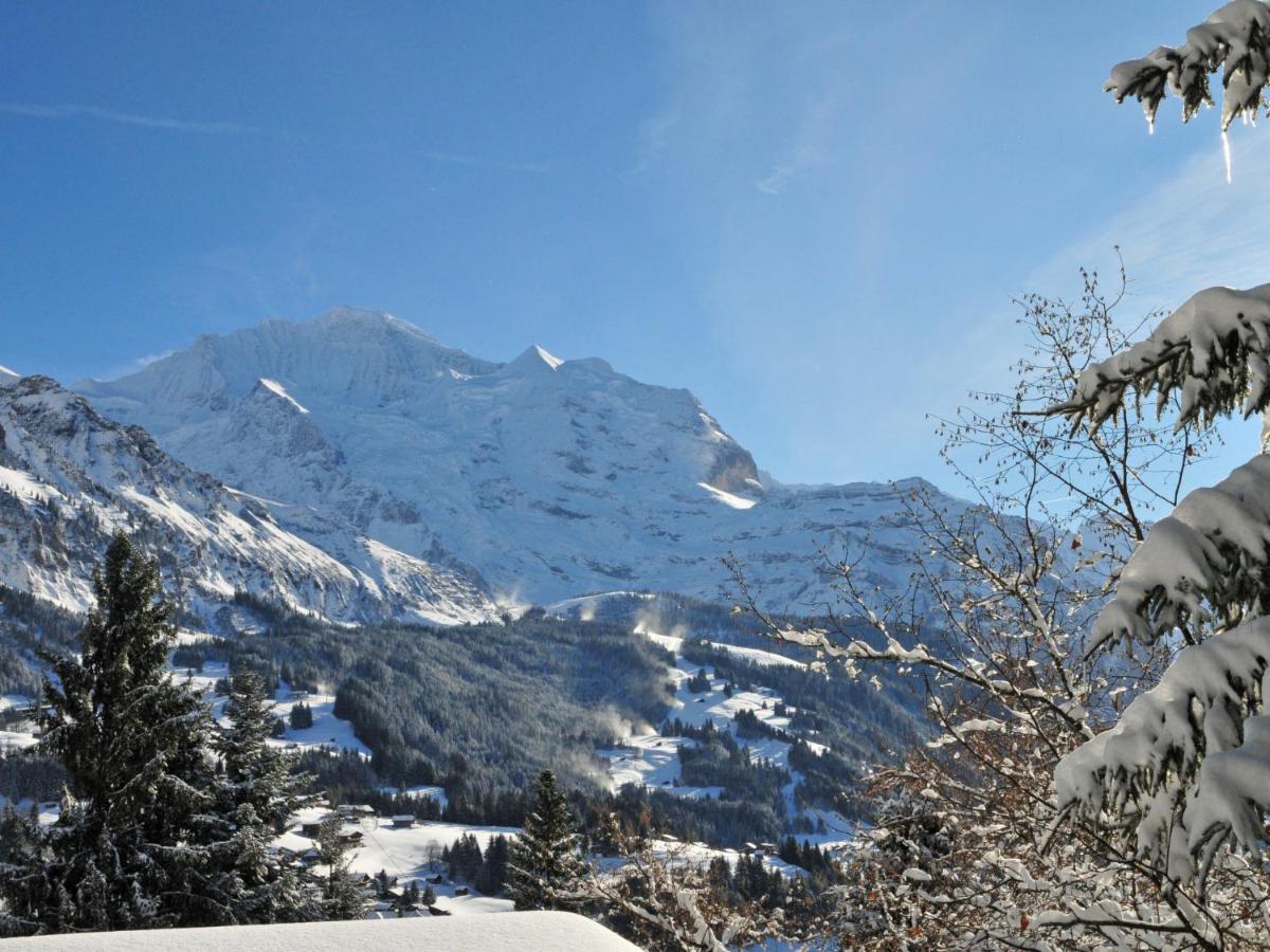 Chalet Zwaergli By Interhome Wengen Exterior foto